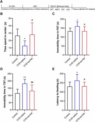 Effects of (S)-ketamine on depression-like behaviors in a chronic variable stress model: a role of brain lipidome
